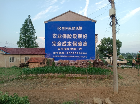 周宁墙体广告的优劣势你知道吗？